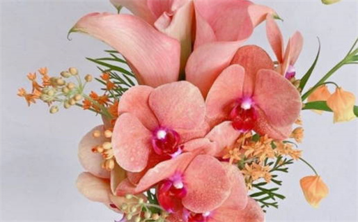 2025年农历四月十四领证算不算好日子? 今天领证结婚合不合适? 2025年农历四月十四领证算不算好日子? 今天领证结婚合不合适?