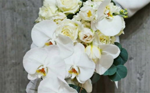 2025年农历四月十四是否为领证黄道吉日 登记结婚适合吗？