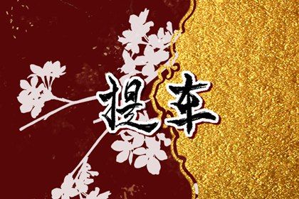 2025年04月28日提车行不行 这日子提车买车好吗