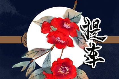 2025年04月28日提车合不合适？ 今日提车买车有问题吗？