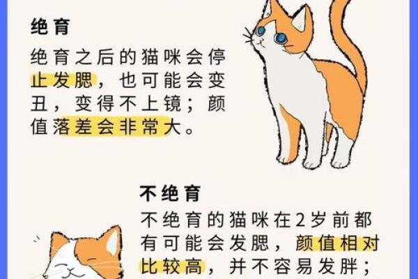 宠物的五行格局：揭秘你家毛孩的性格密码