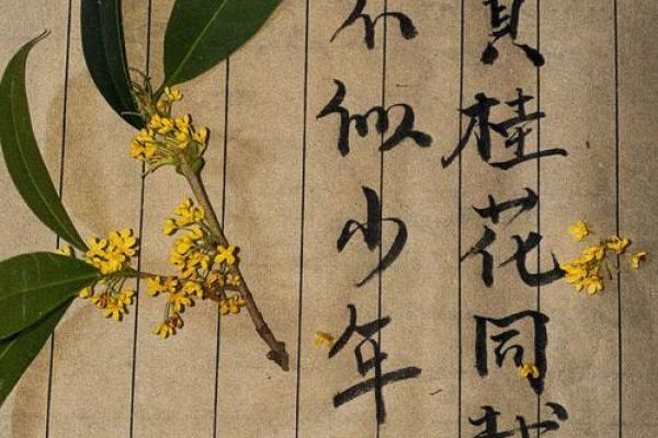 桂花之谜:五行格局性格解析,教你如何逆势生长 桂花之谜:五行格局性格解析,教你如何逆势生长