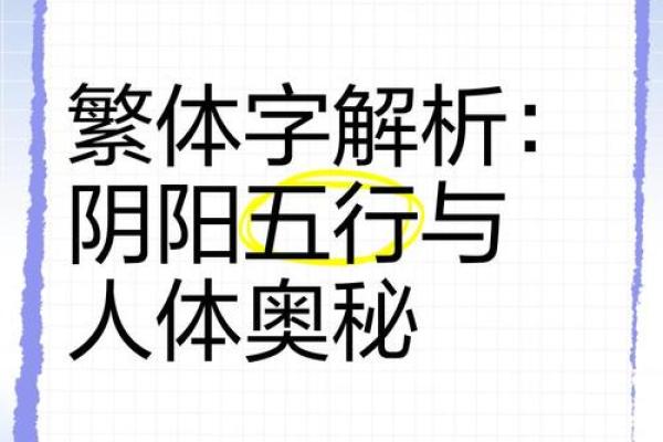 揭秘婕字五行之谜：性格解析中的五大元素奥秘如何影响你
