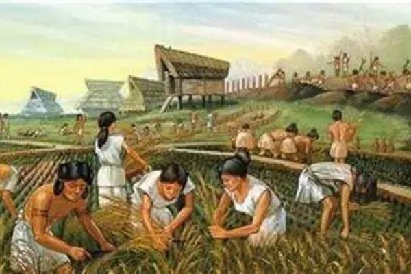 从农耕到习俗：中国节日背后的生活哲学