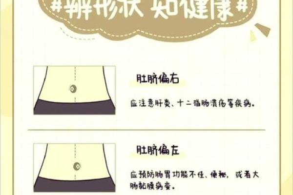 肚脐眼命理中的命运密码:你是否误解了它的真正含义? 肚脐眼命理中的命运密码:你是否误解了它的真正含义?