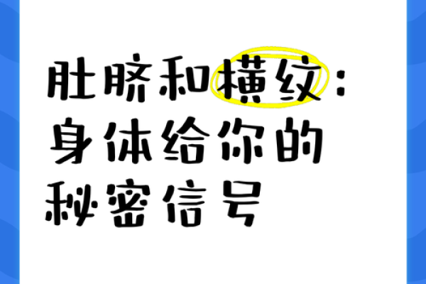 肚脐眼命理中的命运密码:你是否误解了它的真正含义? 肚脐眼命理中的命运密码:你是否误解了它的真正含义?