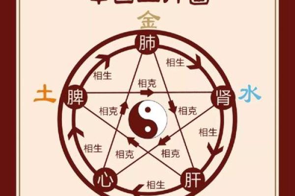 五行格局揭秘：如何用性格解析找到你的健康之道？