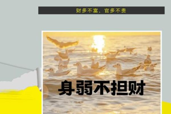 八字命理的误区与玄机,命理刘老师教你如何正确改变命运 八字命理的误区与玄机,命理刘老师教你如何正确改变命运