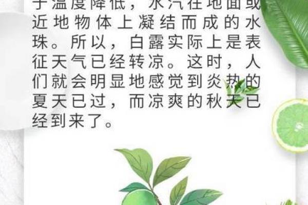 传统文化中的养生节气，了解白露的意义