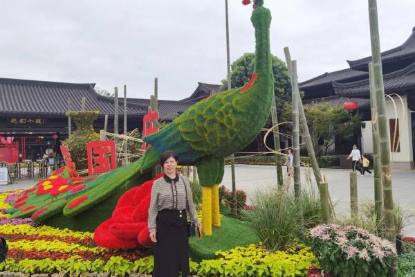 从菊花节看中国农耕文化的季节轮回