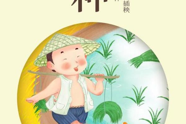 端午节与天文节气的深度关联