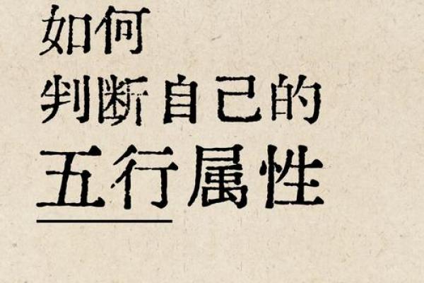 性格解析五行篇：揭秘你的五行属性，揭秘真实自我