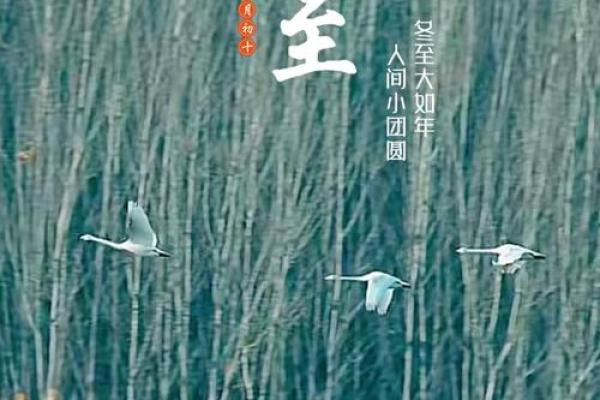 冬至临近：探寻中国传统天文与节气的奥秘