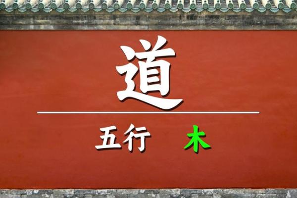 笠字五行格局反其道而行：颠覆传统观念，发现五行的新运用之道
