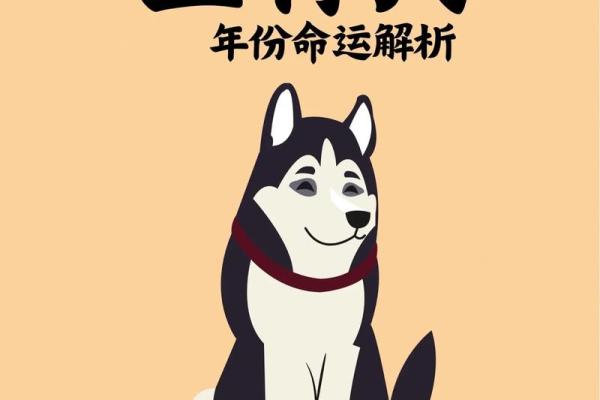 属猴命理揭秘:你可能误入的命运误区 属猴命理揭秘:你可能误入的命运误区