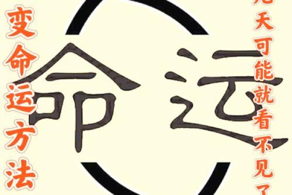 揭秘八字命运密码,如何改变未来的走向 揭秘八字命运密码,如何改变未来的走向