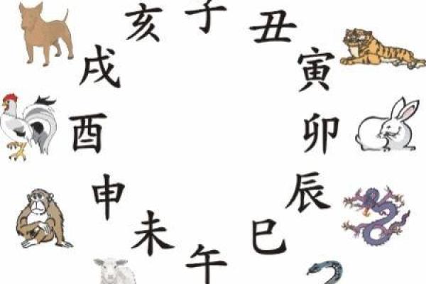 伊字五行格局颠覆传统：揭秘性格密码，教你如何趋吉避凶