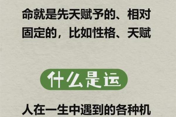 如何改变命运?揭秘满的五行属性,颠覆传统认知 如何改变命运?揭秘满的五行属性,颠覆传统认知