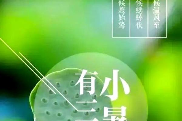调休与节气交织：如何通过节日安排调整生物钟