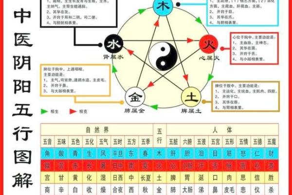 樱花绽放五行间,揭秘你的性格特质与如何调整五行格局 樱花绽放五行间,揭秘你的性格特质与如何调整五行格局