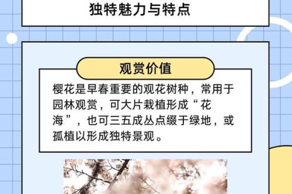 樱花绽放五行间,揭秘你的性格特质与如何调整五行格局 樱花绽放五行间,揭秘你的性格特质与如何调整五行格局