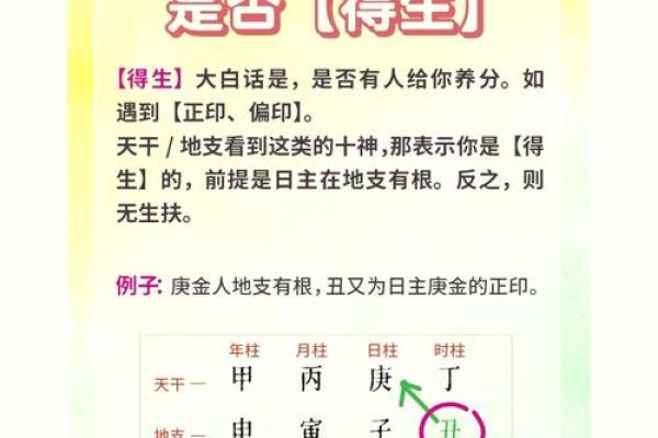 明星八字命理揭秘：命运密码背后的暗藏玄机