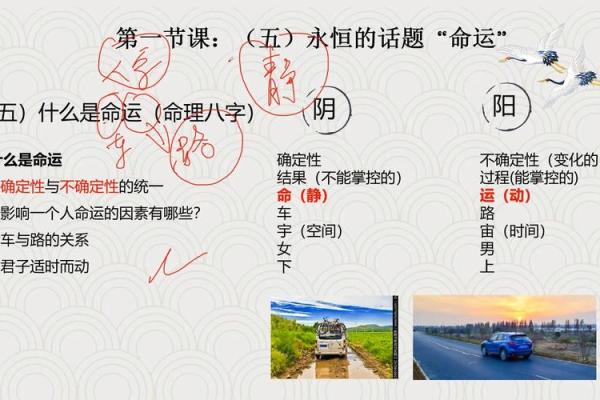 午月命理与命运密码：你竟然忽视了改变命运的关键！