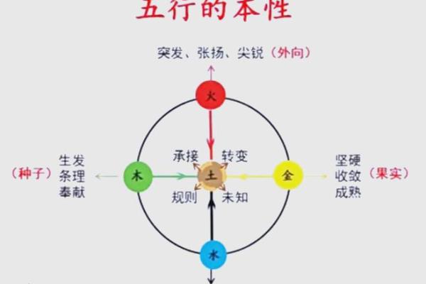 性格解析五行之道：揭秘你的内在五行格局