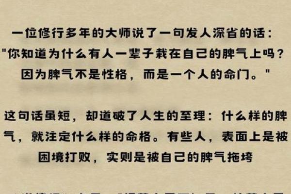 虎啸江湖，揭秘五行格局背后的性格奥秘与实用策略
