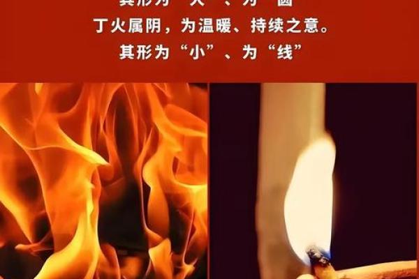 命理误区大反转：破解八字中的暗藏玄机，改变你的一生
