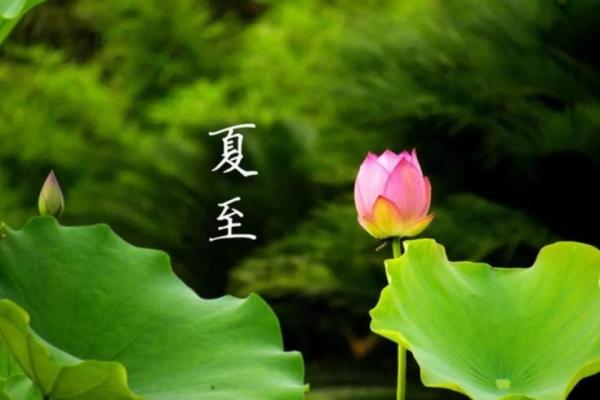 俄罗斯庆祝夏至节：天文与农耕的完美结合