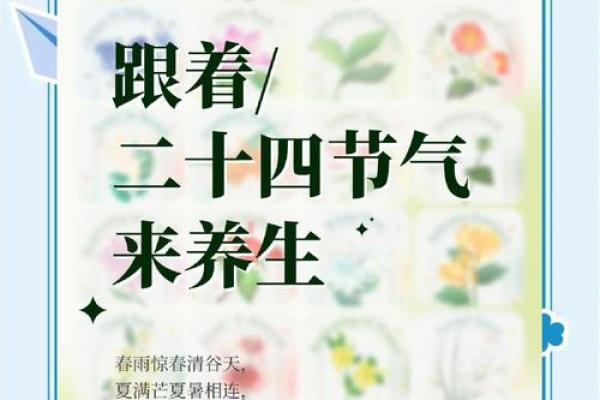 的节气与养生智慧：夏季养生小贴士