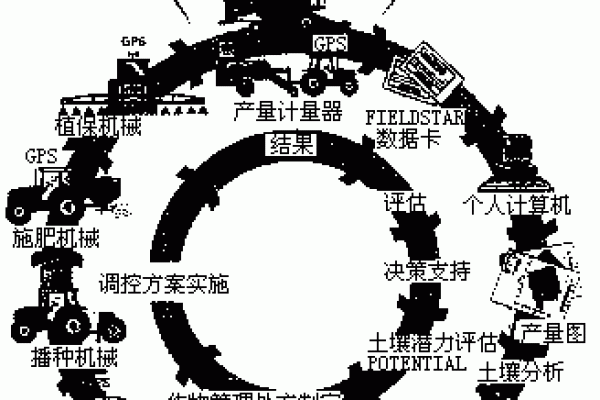 俄罗斯秋季节日背后的文化与农业应用