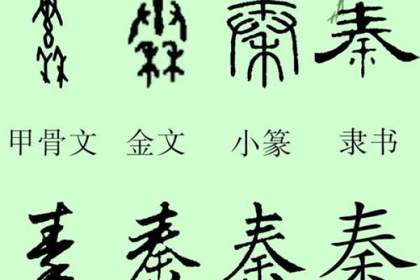 秦字五行格局,揭秘你的性格密码:如何通过五行改变你的命运? 秦字五行格局,揭秘你的性格密码:如何通过五行改变你的命运?