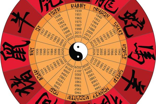 从陈坤八字看命运密码：如何改变未来的命运轨迹