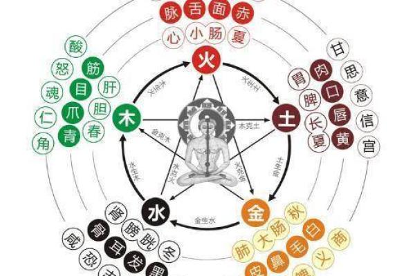 五行格局揭秘:你的性格解析,如何找到最佳生活平衡? 五行格局揭秘:你的性格解析,如何找到最佳生活平衡?