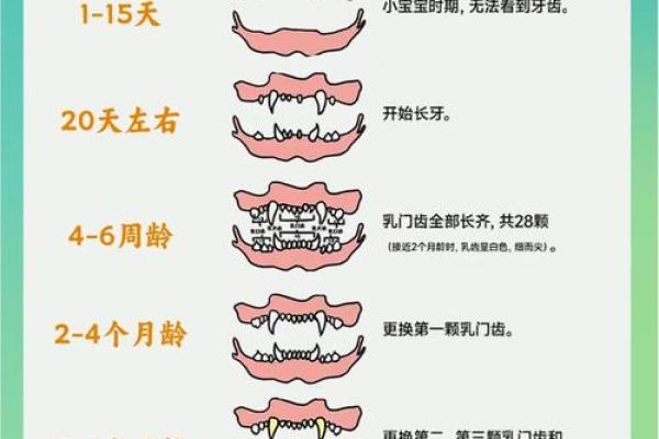 狗年出生的孩子如何改变命运？这些命理真相超乎你想象