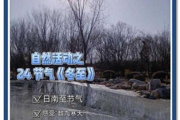 阿根廷冬至节：天文奇观与冬季养生的完美融合