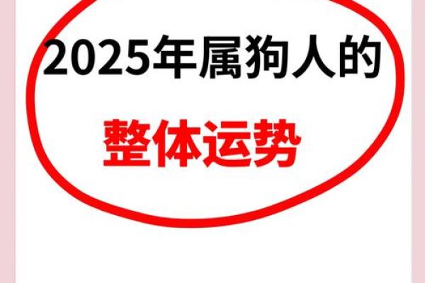 属狗人的命运密码：如何揭开暗藏玄机，改变命运轨迹