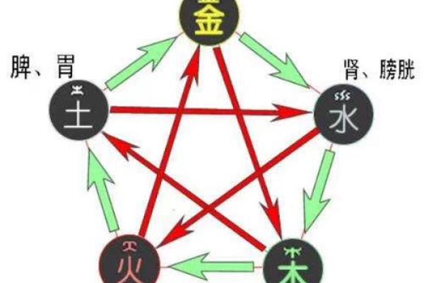 性格解析新视角：五行配对表教你洞察自我与他人的内在规律
