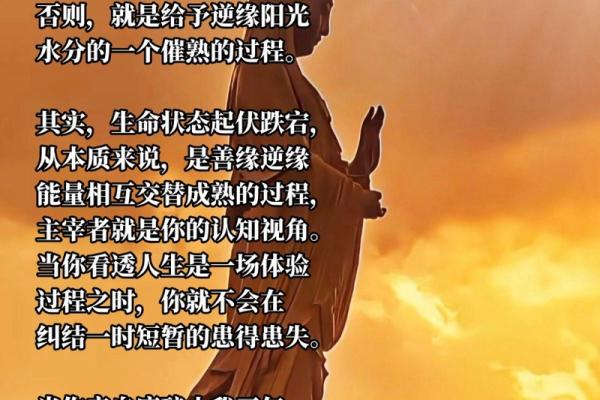 花债颠覆你对命运的认知，如何巧妙化解？