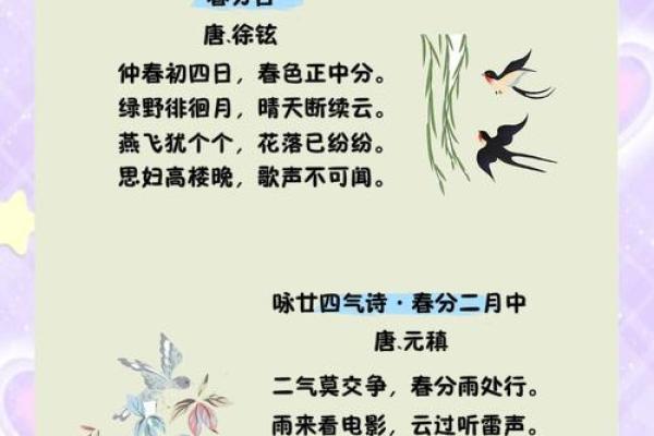 春分节气与传统养生的关系