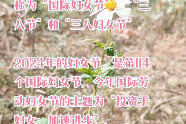 从农耕视角看三月八号国际妇女节的深远影响