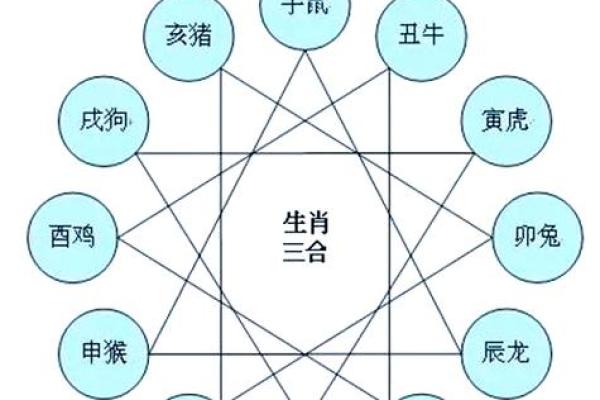 五行格局中的泡五行属相，揭秘你的命运走向