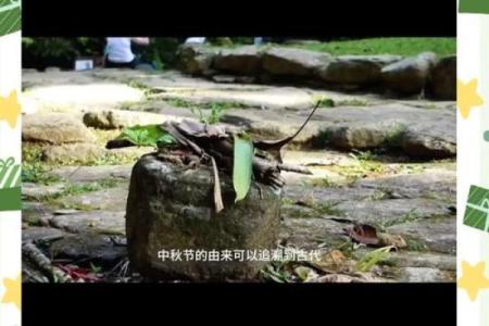 传统养生与陕北中秋节的文化底蕴