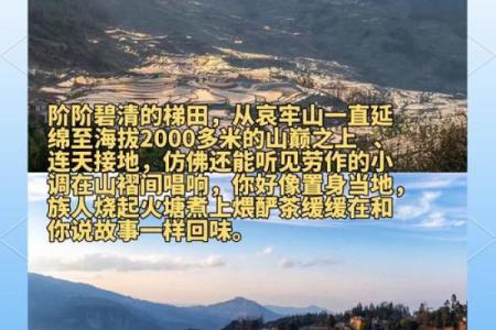感受哈尼族节日风俗中的天文与自然之美