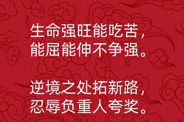 五行格局重塑指南：性格转变的秘密武器