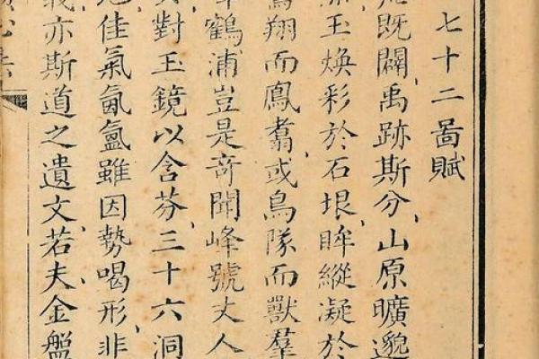 蔡爷爷风水命理暗藏玄机，揭开命运的颠覆性误区