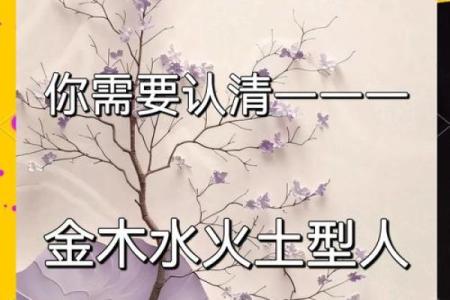 神秘五行格局，佳的性格密码，揭秘你的内在力量