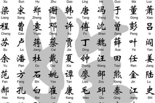 谭字五行格局大揭秘：如何改变命运，突破性格局限？